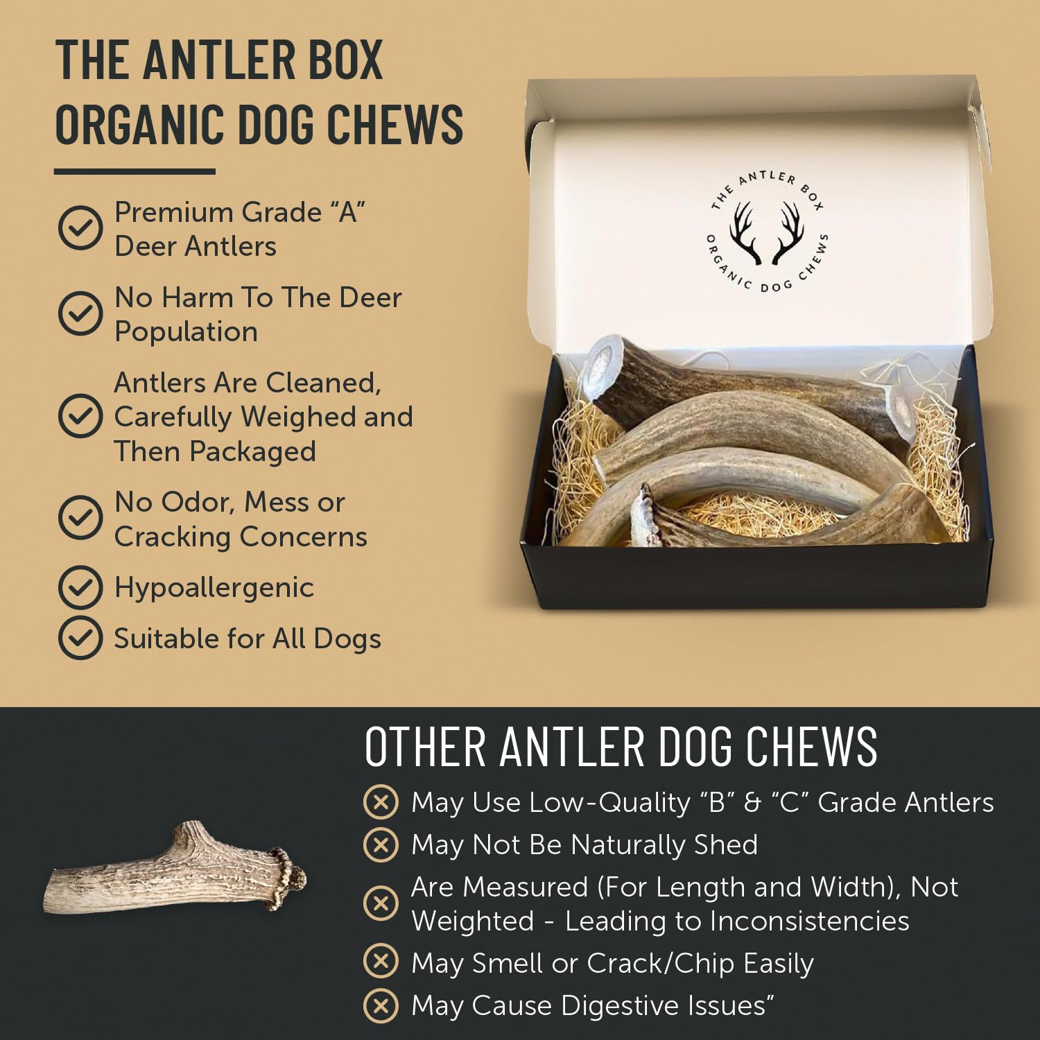 The Antler Box mess-free chews on rug showcase clean use.