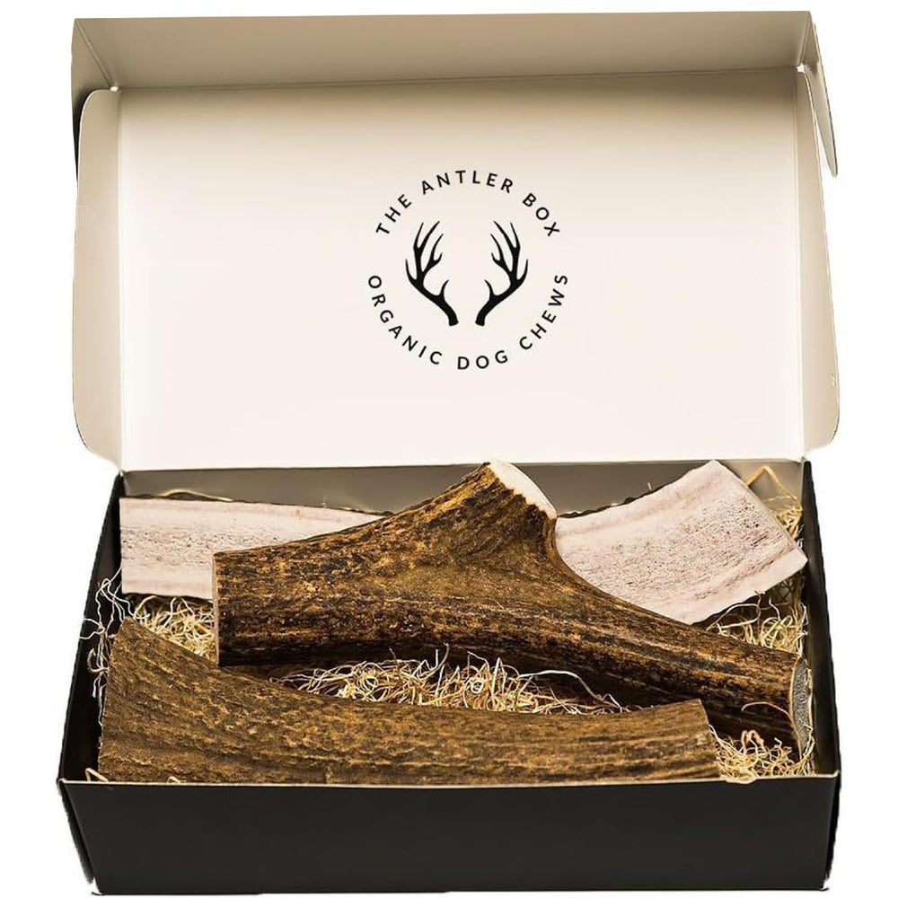 The Antler Box elk antler chews in split form for easier access during chewing.