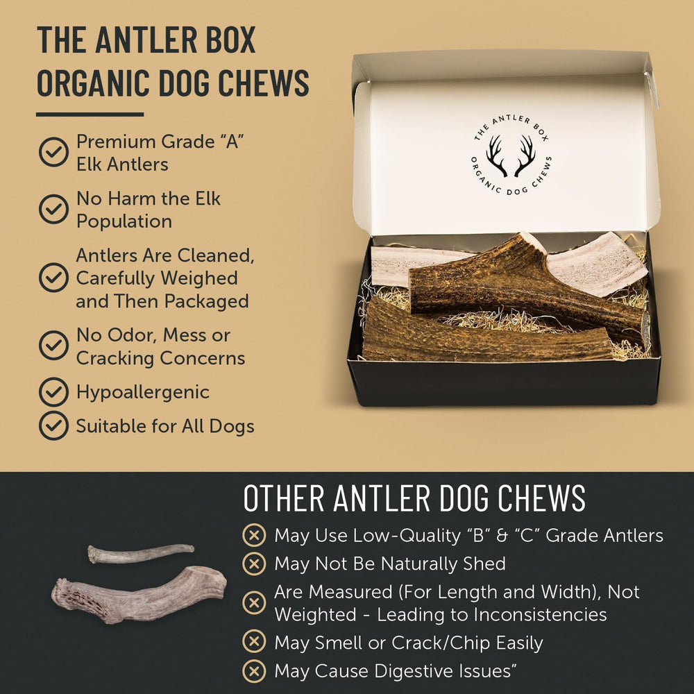 The Antler Box elk antler chews rich in calcium and phosphorus for strong teeth.