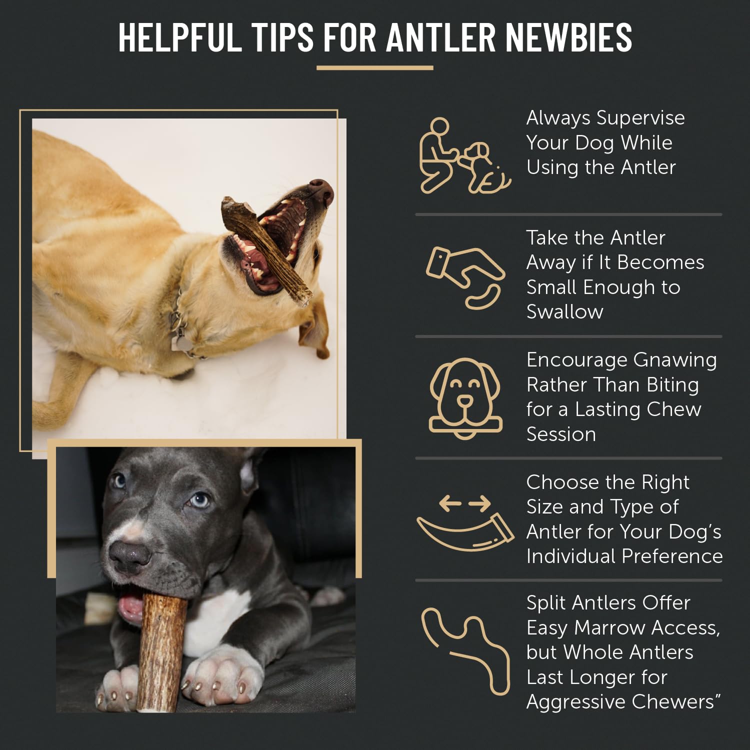 The Antler Box elk antler chews free from steroids, antibiotics, and preservatives.