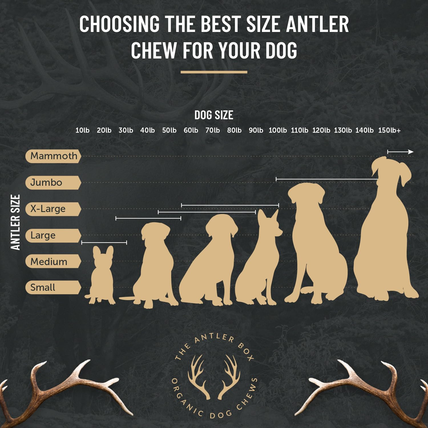 The Antler Box texture close-up shows natural grooves and minerals