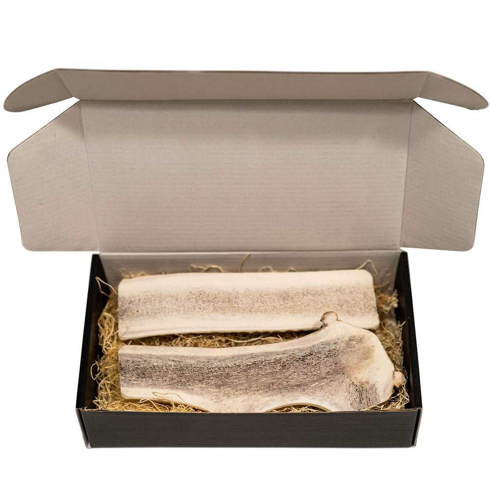 The Antler Box elk antler splits sized for extra-large chews