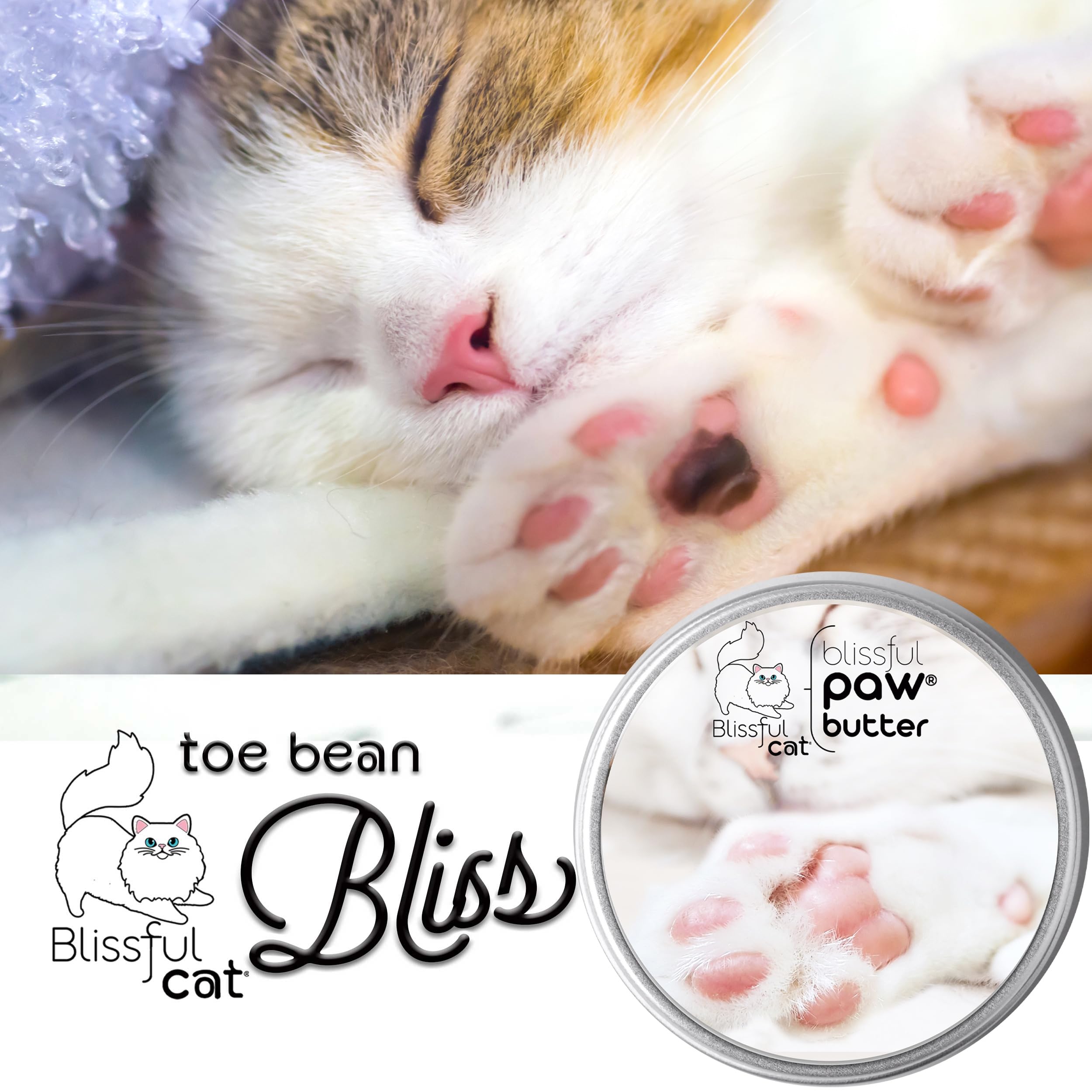 Application of The Blissful Cat Paw Butter for quick moisturization