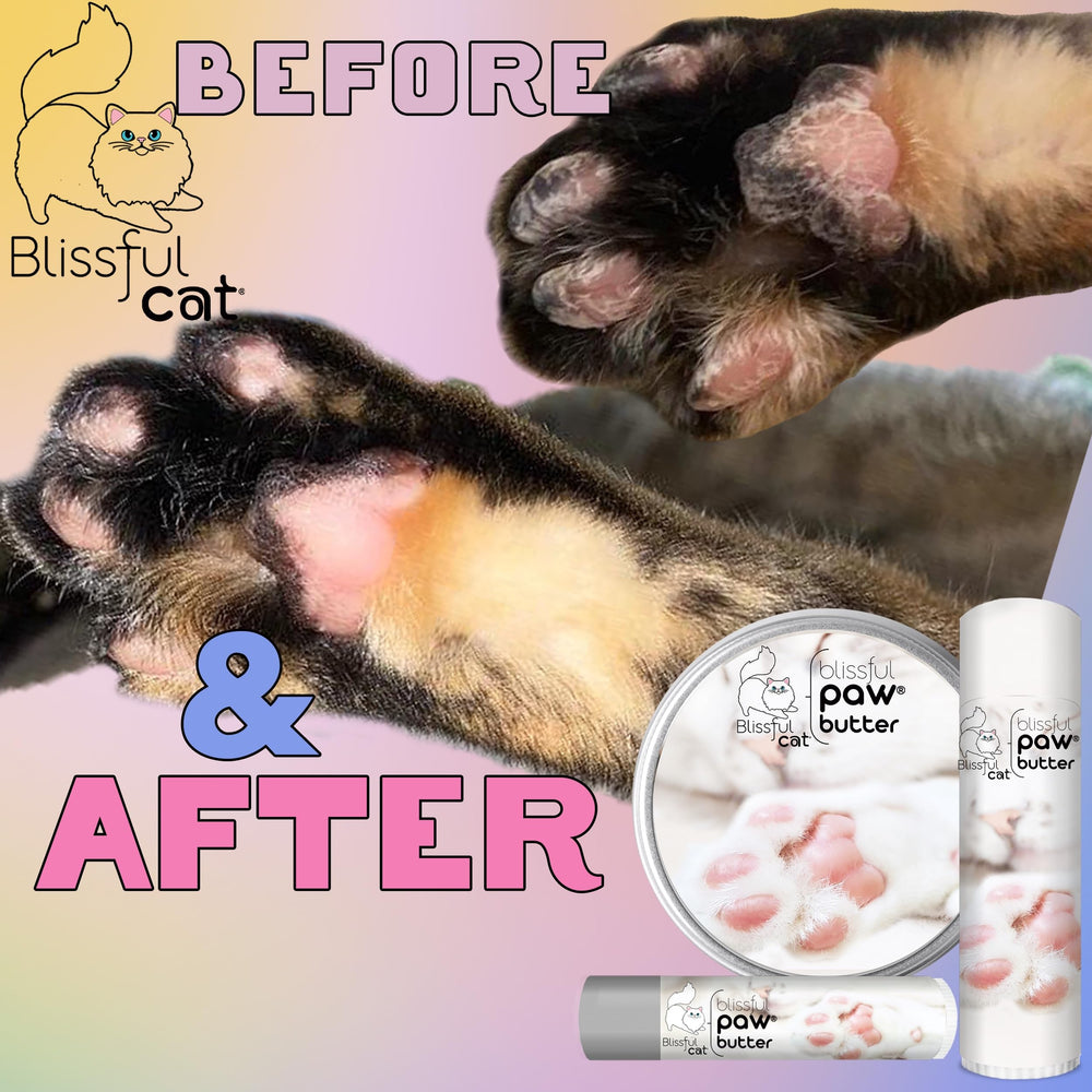 Gentle touch on paw pads during grooming with The Blissful Cat Paw Butter