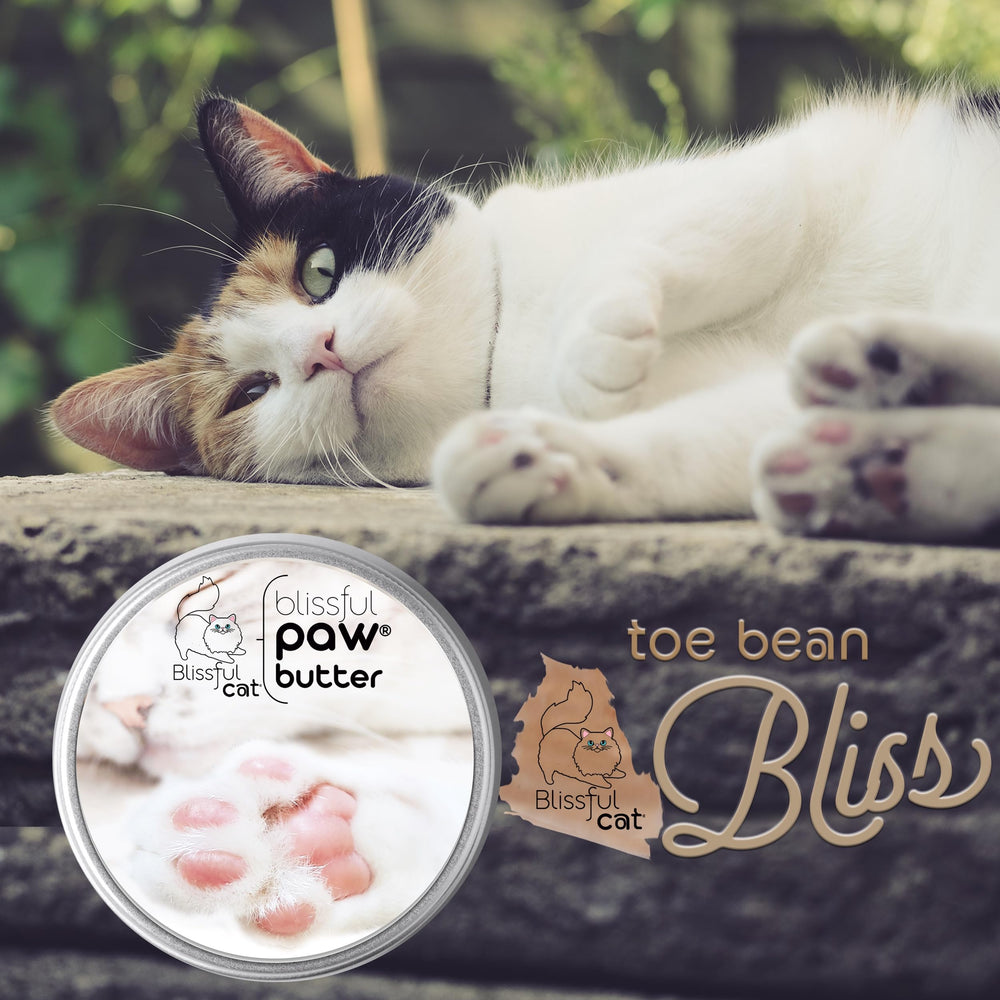 Ultimate care for sensitive paws across breeds with The Blissful Cat Paw Butter