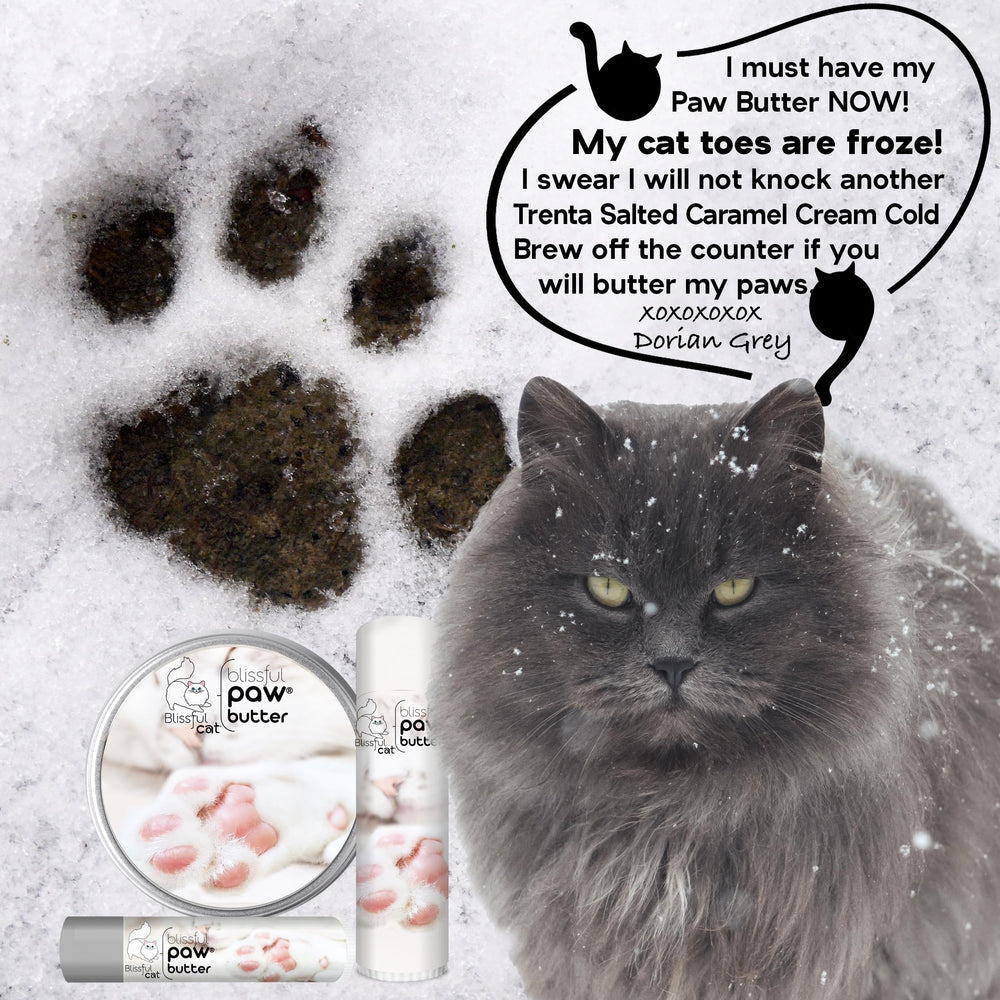USA handcrafted The Blissful Cat Paw Butter jar on shelf