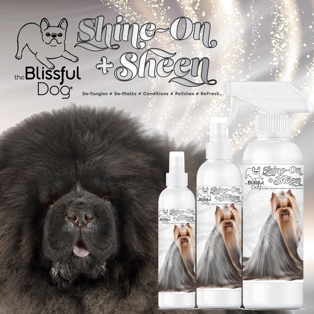 The Blissful Dog Detangler Spray ready-to-use for quick mat release.