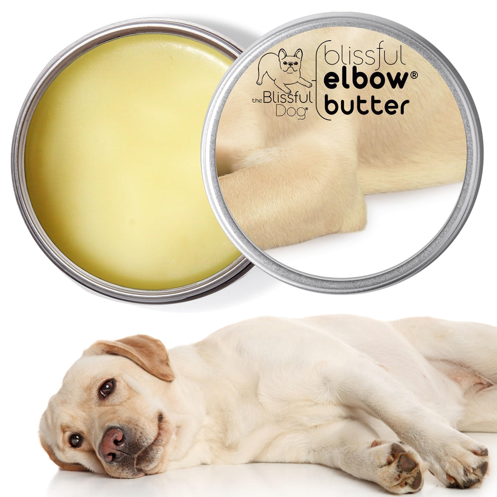 Close-up of dry elbows showing the balm's moisture on The Blissful Dog Elbow Butter