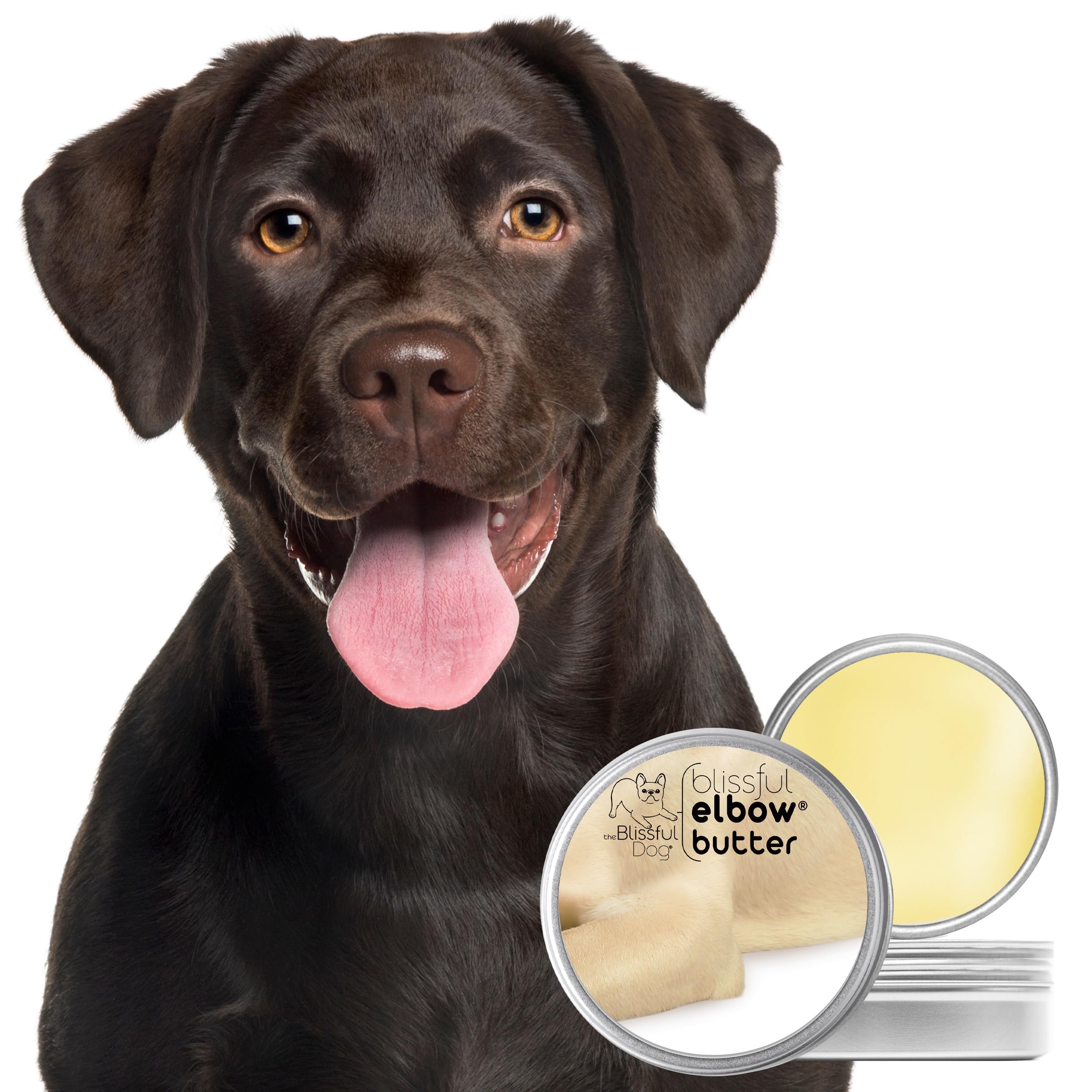 Close-up of The Blissful Dog Elbow Butter creamy texture for quick absorption.