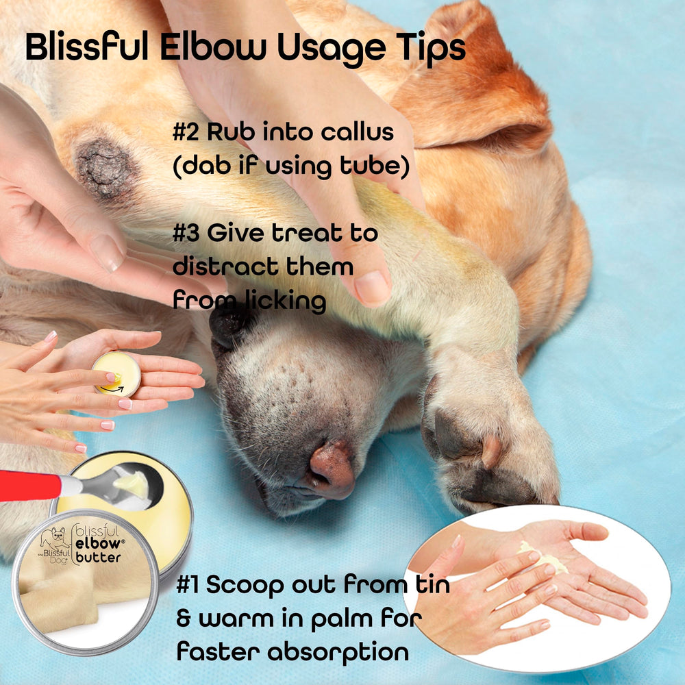 The Blissful Dog Elbow Butter comes in multiple sizes for travel and home use