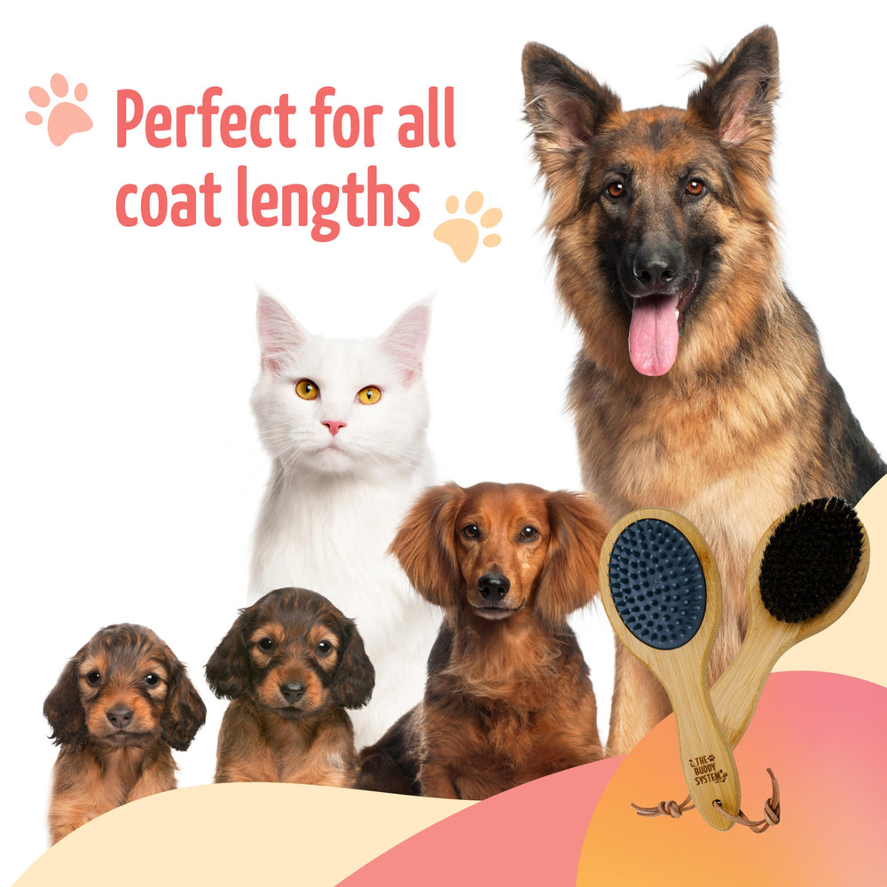 Boar bristles distribute natural oils for a healthy looking coat.