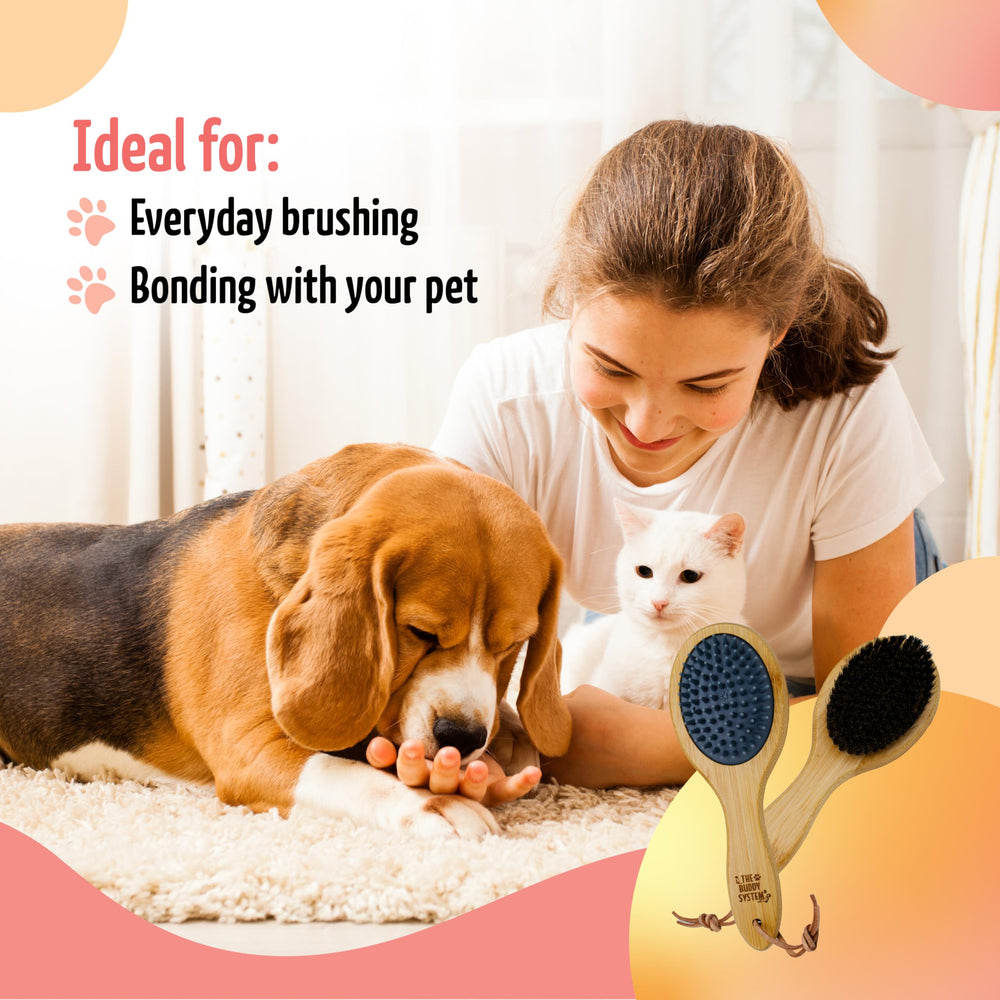 Calming grooming sessions support bonding and a relaxed pet.