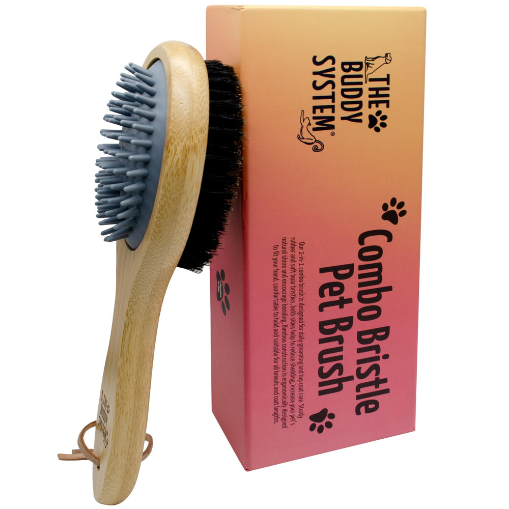 The Buddy System combo bristle pet brush rubber side for after-bath grooming.