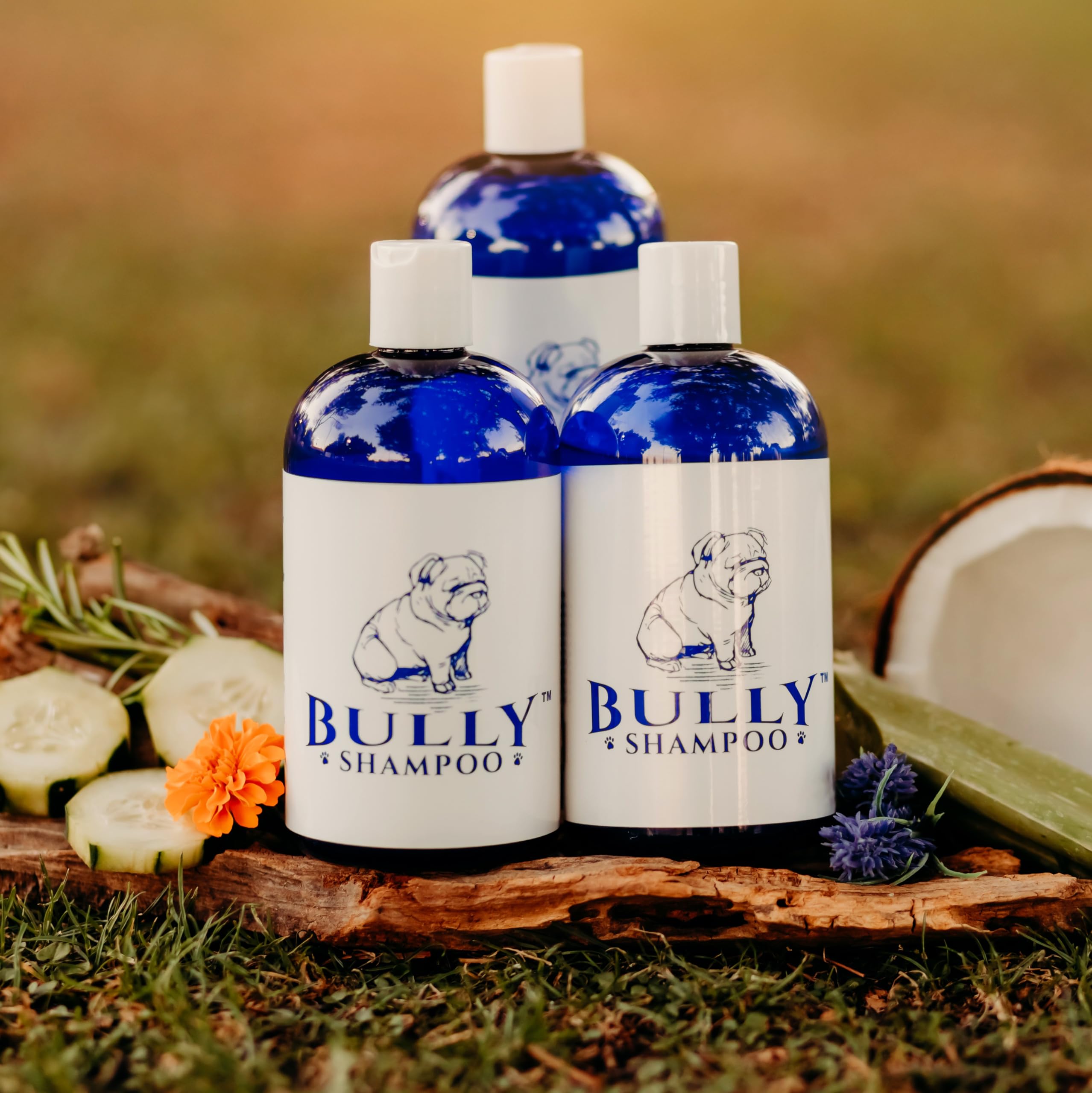 Eco-friendly bottle packaging preserves purity and is easy to recycle