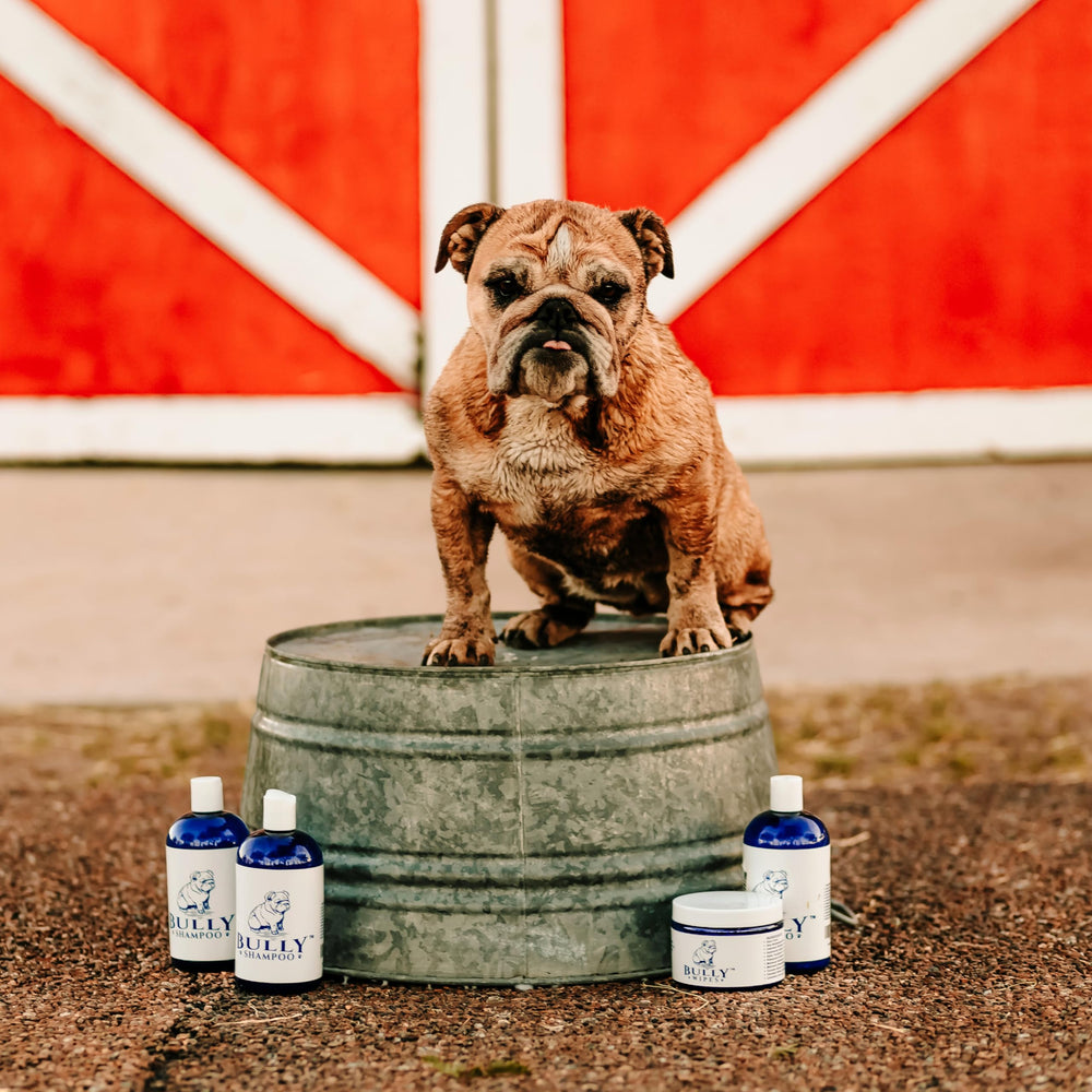 Coat care by Bully Shampoo leaves fur soft and shiny