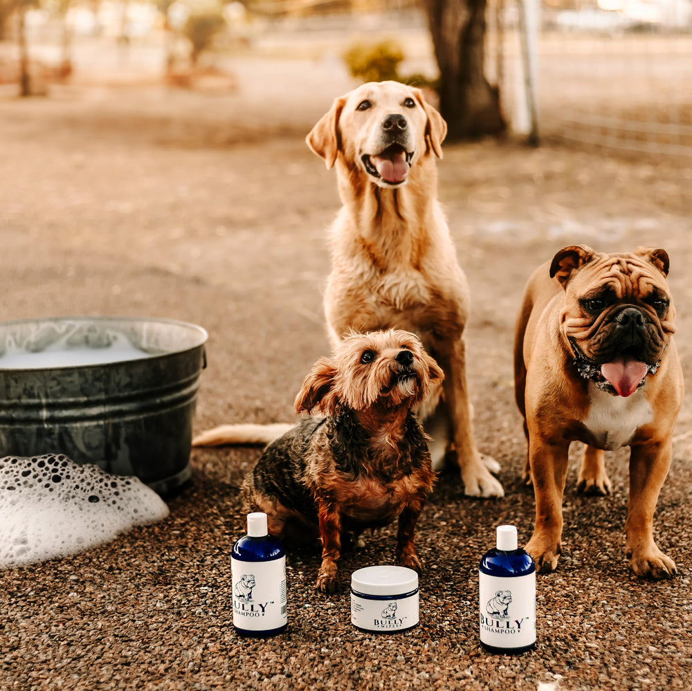 Made in the U.S.A. Bully Shampoo supports quality and clean grooming