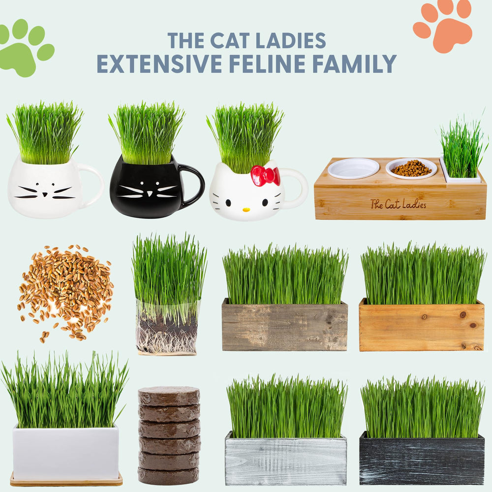 The Cat Ladies cat grass kit contains everything for simple home gardening.