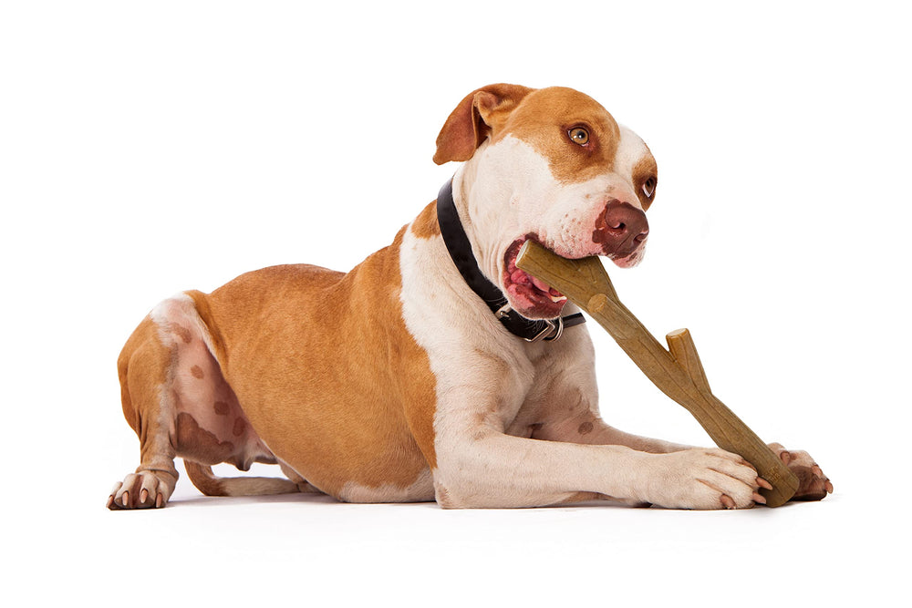 Durable chew designed for aggressive chewers from The Chew Club.