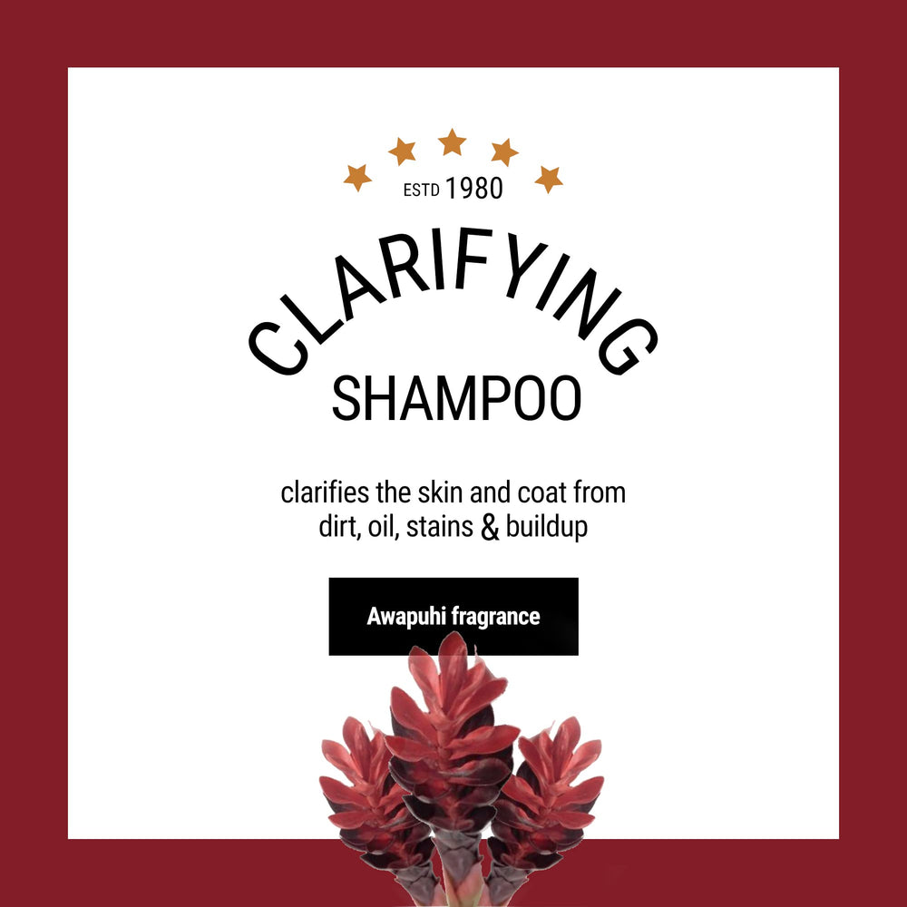 The Coat Handler clarifying dog shampoo dilution chart shows the 15 to 1 concentration for versatile use.