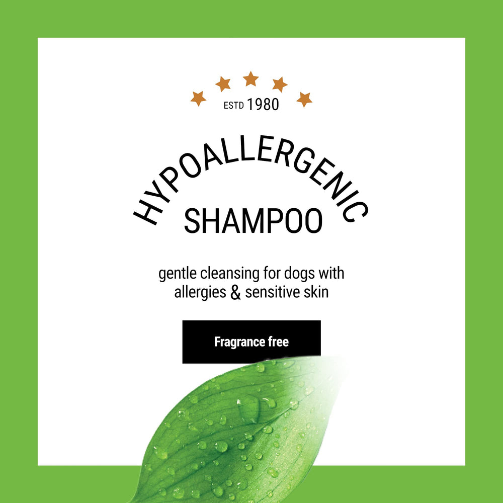 The Coat Handler hypoallergenic shampoo lather demonstrates gentle cleansing for the coat.