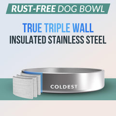The Coldest Water dishwasher-safe dog bowl for easy post-meal cleanup.