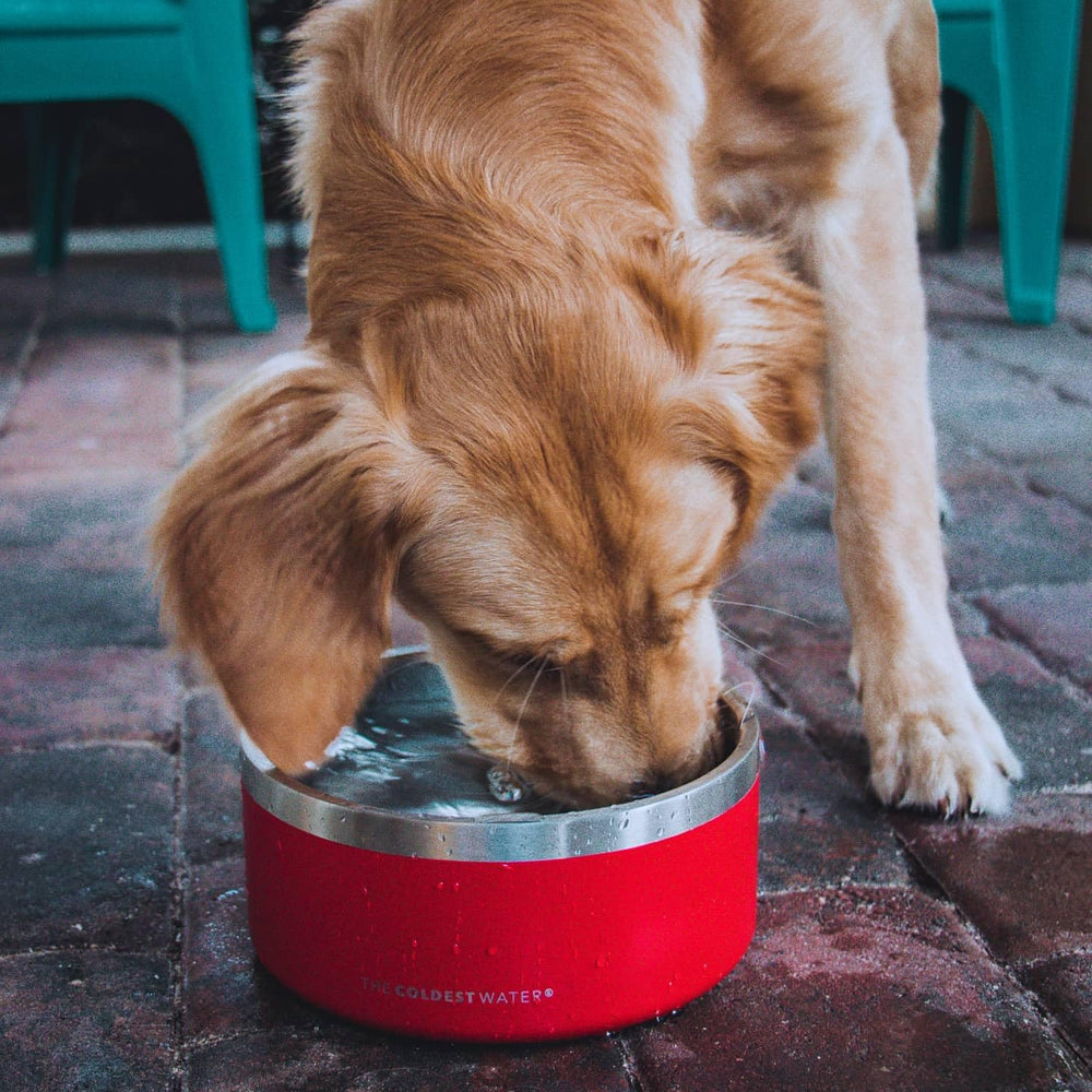Heavy duty stainless steel bowl from The Coldest Water