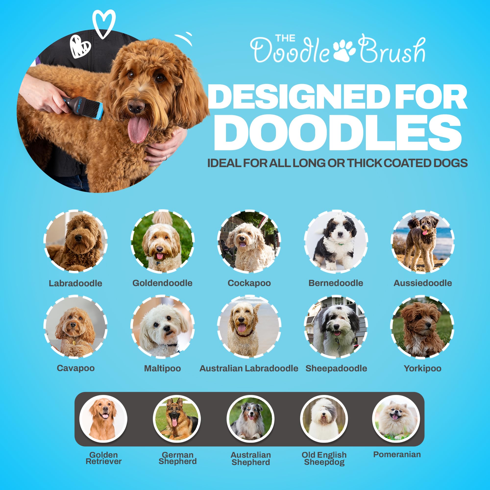 The Doodle Brush shown as a versatile tool for doodles and other long-haired breeds