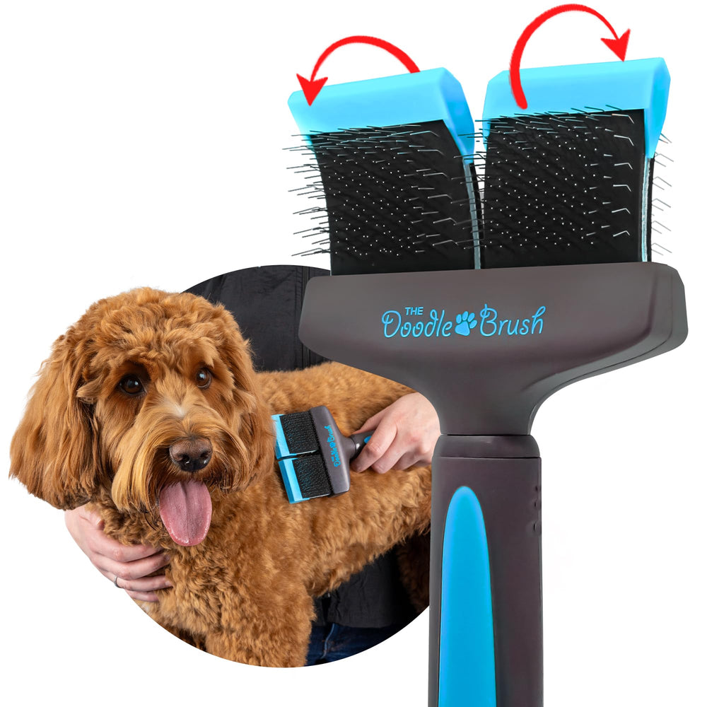 The Doodle Brush home-grooming setup enables easy routine care.
