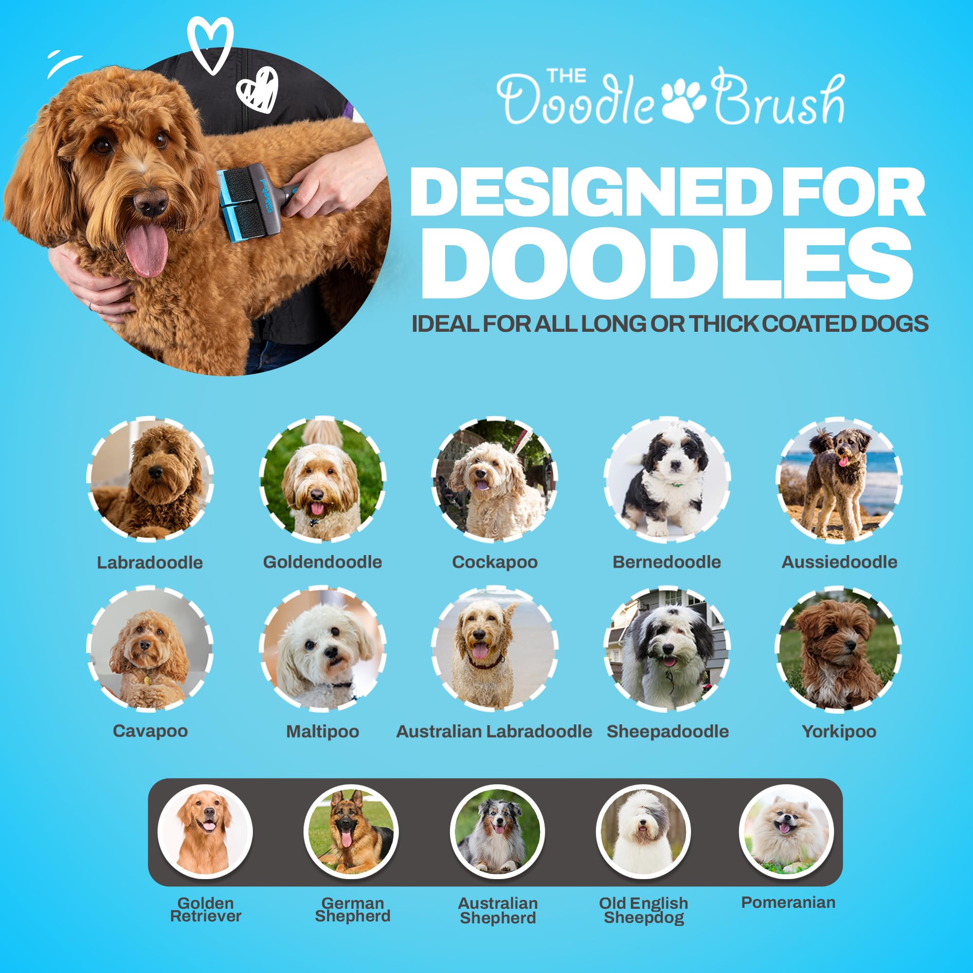 The Doodle Brush poodle-fur grooming offers safe detangling for curly coats.