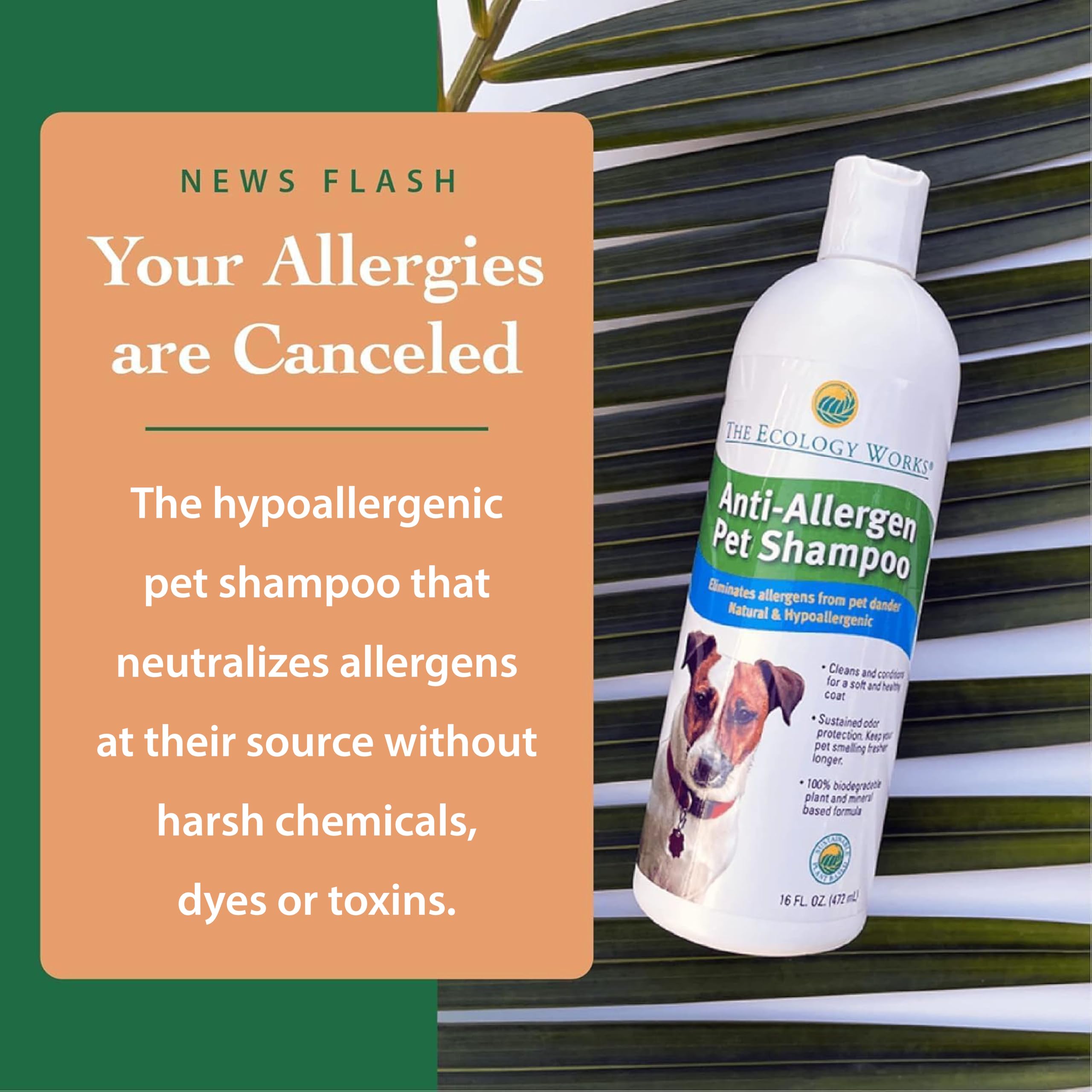 The Ecology Works shampoo bottle pour demonstrates easy, mess-free application during grooming.