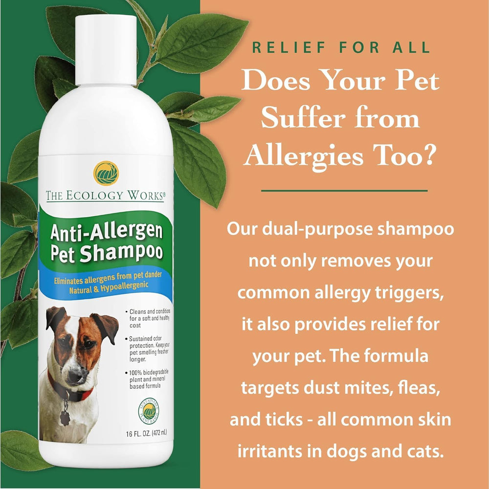 The Ecology Works shampoo for cats demonstrates gentle cleansing.