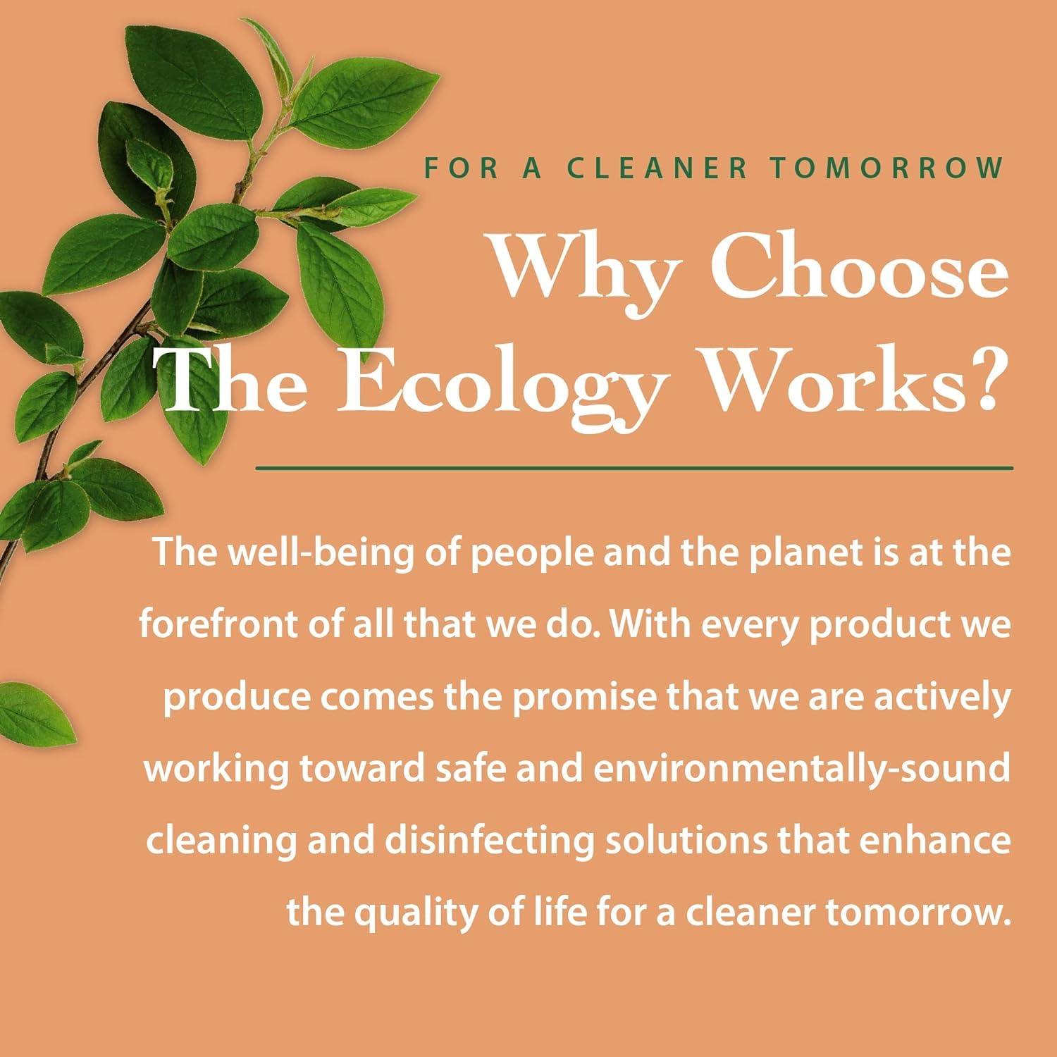 The Ecology Works coat after wash looks softer and shinier.