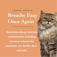 The Ecology Works Anti-Allergen Pet Shampoo lathers on a dog's coat for cleansing.