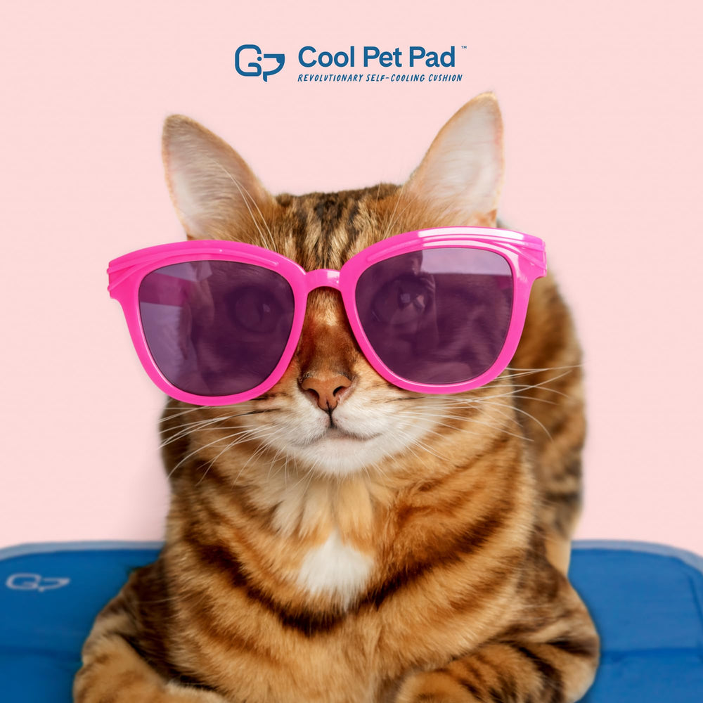 The Green Pet Shop Cool Pet Pad easy to wipe with a damp cloth for quick cleaning.