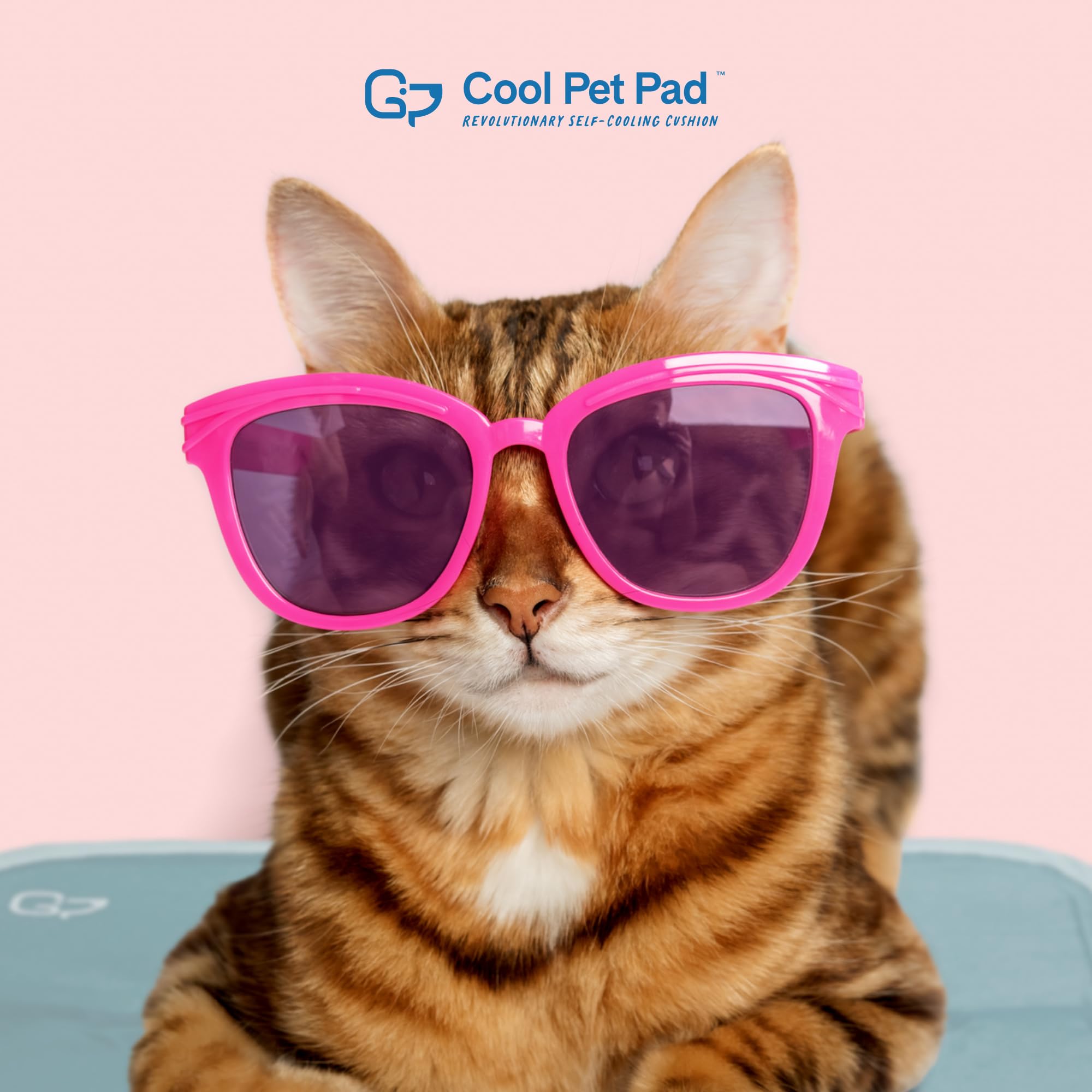 The Green Pet Shop Cool Pet Pad folded compact for easy packing.