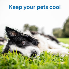 The Green Pet Shop Cool Pet Pad pressure-activated cooling needs no water for pets.