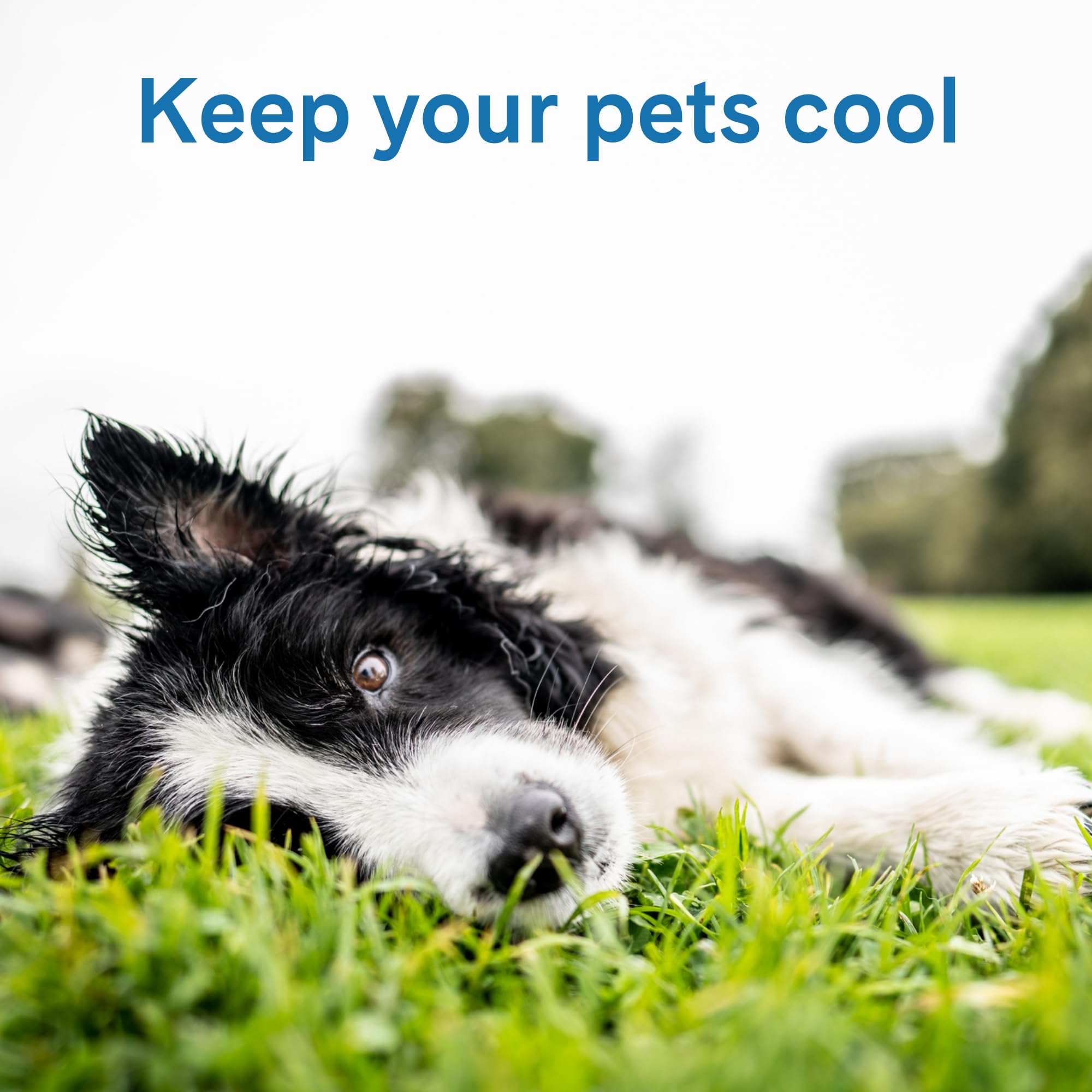 The Green Pet Shop Cool Pet Pad small side view highlights portable cooling for pets.