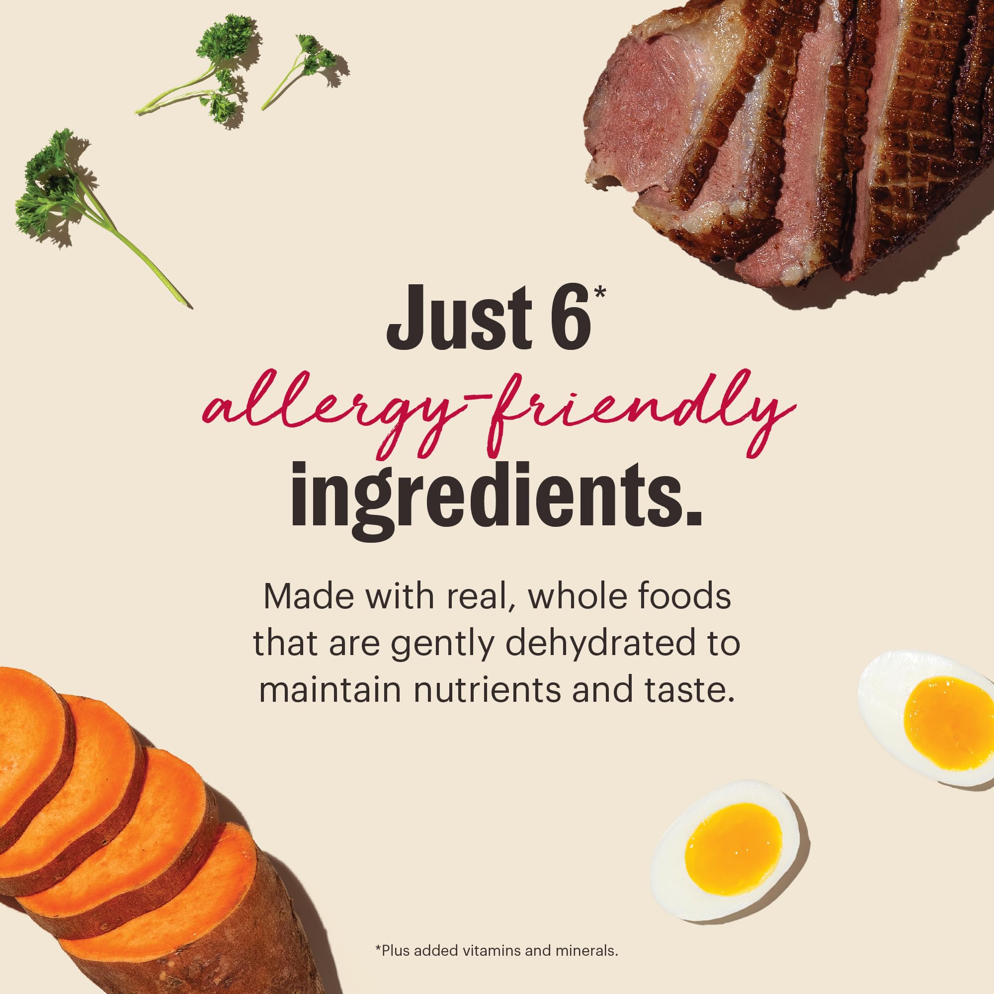 The Honest Kitchen ready-to-serve dish showing a balanced meal.