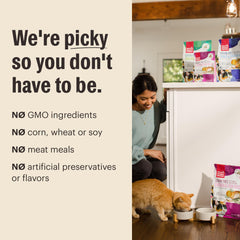 The Honest Kitchen cat enjoys clusters, highlighting taste appeal during mealtime.
