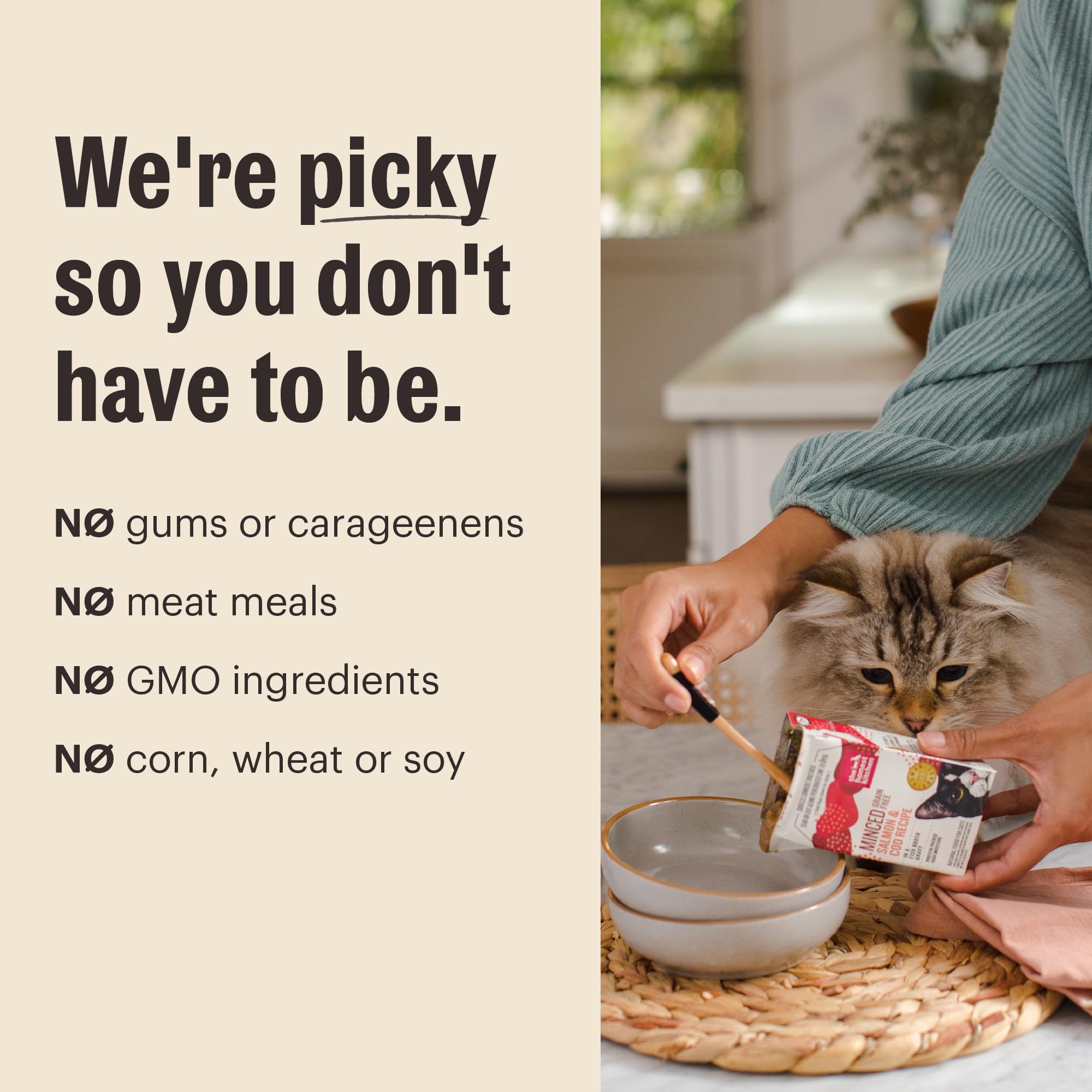 Serving bowl of The Honest Kitchen cat food showing easy feeding at mealtime