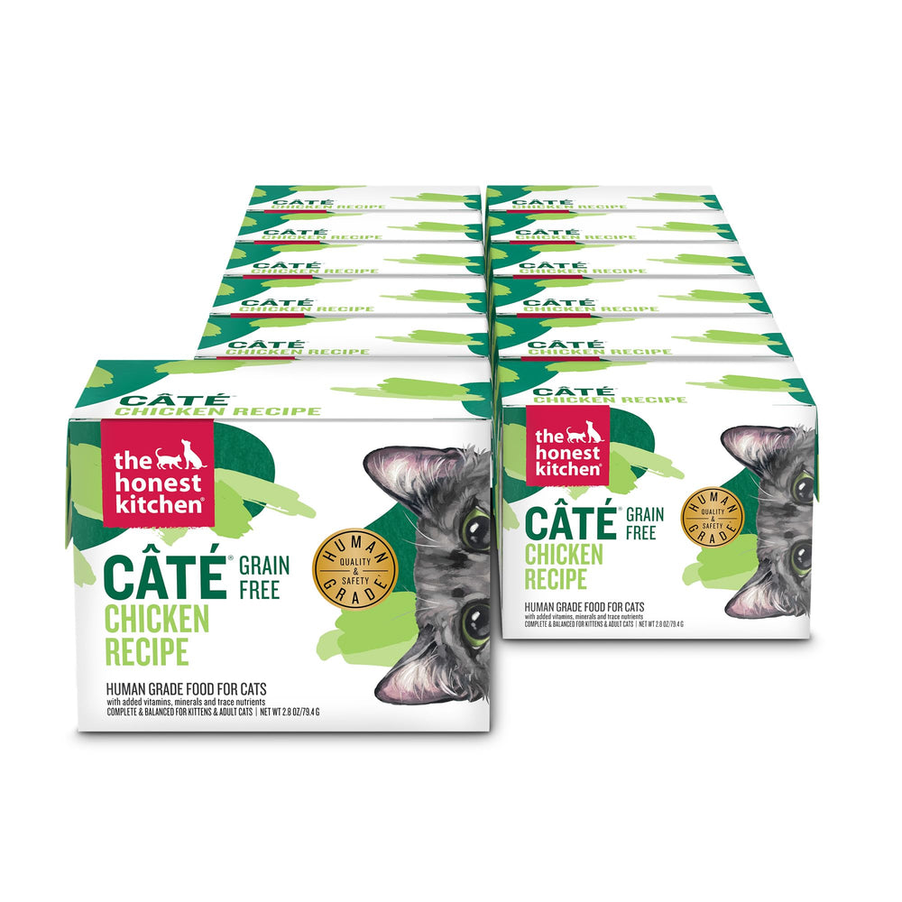 The Honest Kitchen cat pate can—soft texture for easy feeding.
