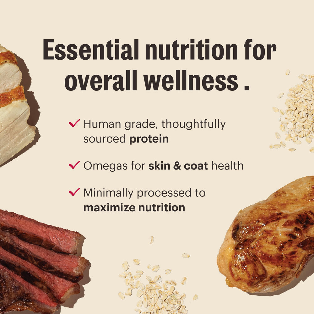 The Honest Kitchen Essential Clusters closeup of turkey-chicken chunks signaling high-quality protein.