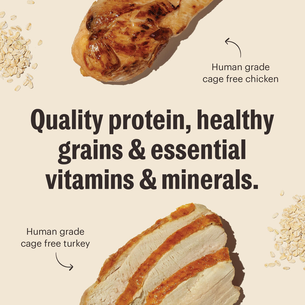 The Honest Kitchen Essential Clusters texture closeup emphasizing less processed, premium dog food.