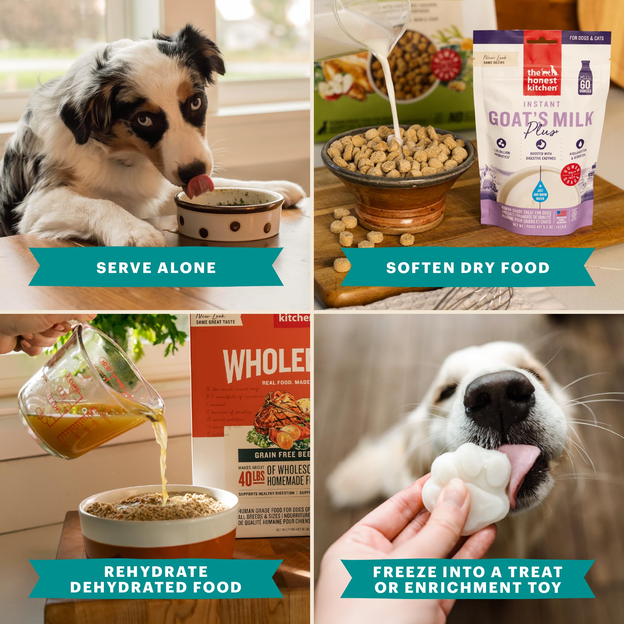 Cat bowl with rehydrated goat milk for easy digestion-friendly nutrition.