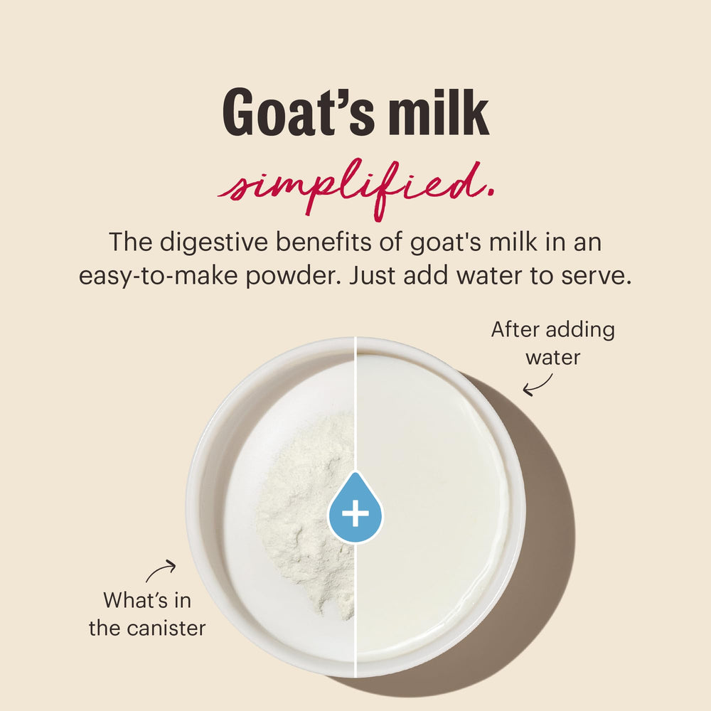 Dog being served goat milk powder as a hydration boost and training treat.