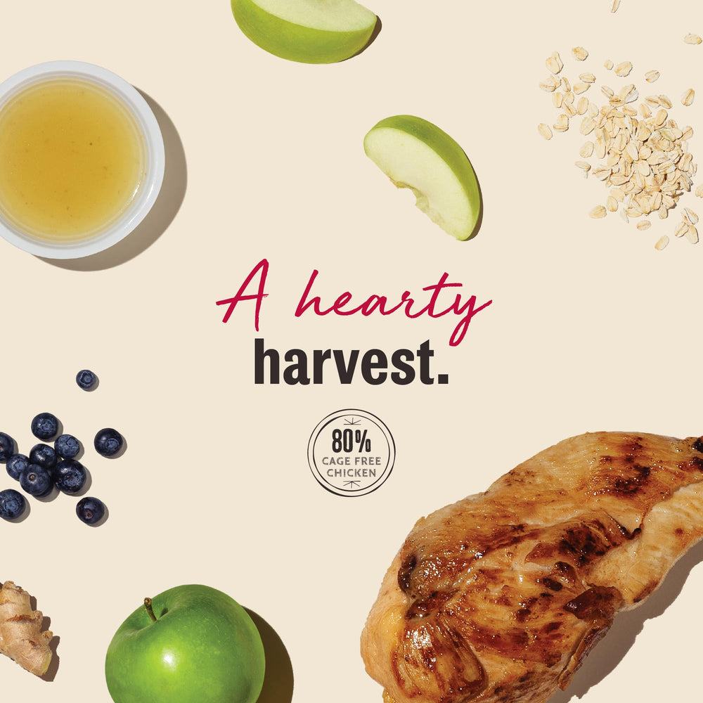 80% cage-free chicken is the main protein highlighted in the Jerky Harvest Mini Bars.