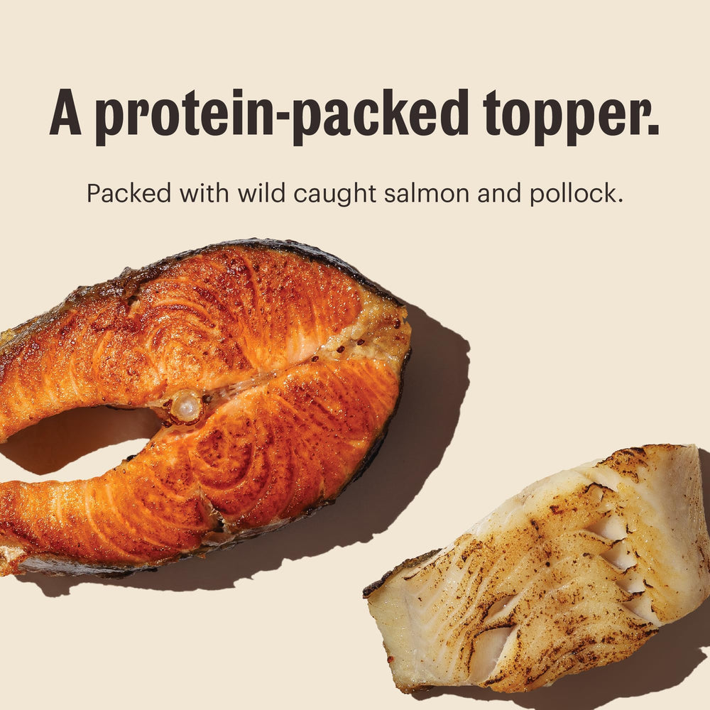 Honest Kitchen ingredient panel highlights human-grade quality.