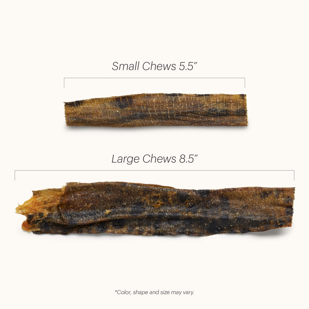 The Honest Kitchen Ocean Chews large dog size image shows an 8.5-inch chew option.