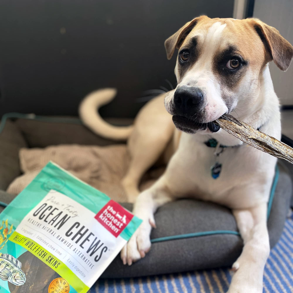 The Honest Kitchen Ocean Chews serving bowl image presents a convenient ready-to-serve treat.