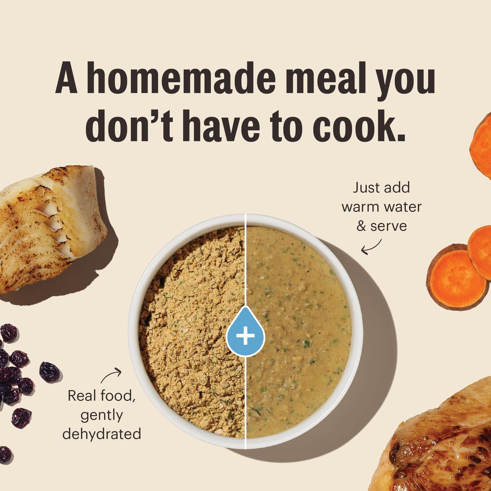 The Honest Kitchen probiotics support digestion and gut comfort in cats.